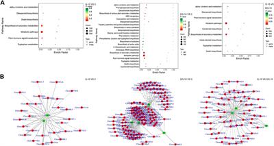 Exploring the allelopathic autotoxicity mechanism of ginsenosides accumulation under ginseng decomposition based on integrated analysis of transcriptomics and metabolomics